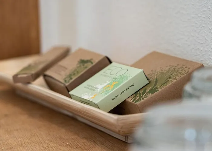 مينهاوس ستادهوتيل 4* فرانكفورت